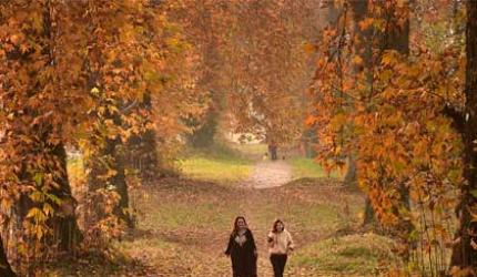 It's raining gold at the Mughal Garden