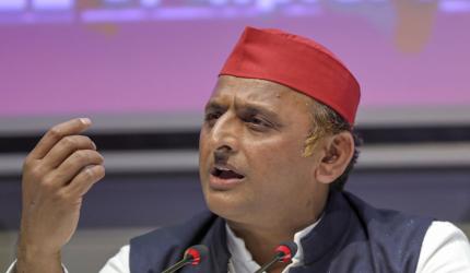 We showed BJP's seats can be decreased: Akhilesh