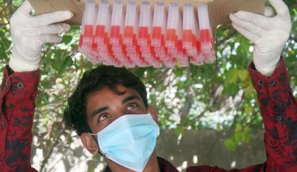 Covid mutated 223 times, not deadly anymore: Govt