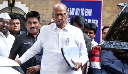 Can't seek LoP post, says Pawar; Sena-UBT differs