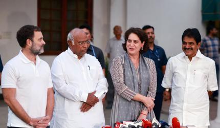 'Congress Will Collapse Without Gandhis'