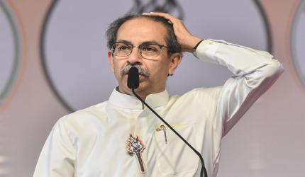 Cracks in MVA: Uddhav leader blames Cong for poll rout