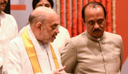 Amid tussle in Mahayuti, Ajit Pawar meets Shah 