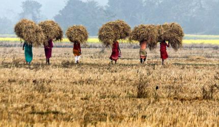 More credit for farmers, 6 new schemes announced