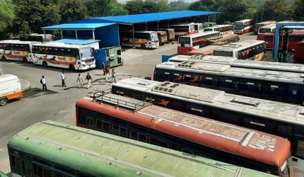 Maharashtra suspends state bus services to Karnataka