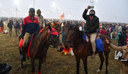 Over 250 reunited with families in Kumbh Mela