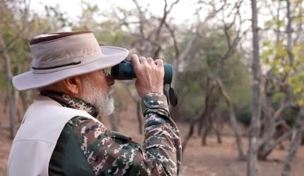 SEE: Modi goes on lion safari on World Wildlife Day