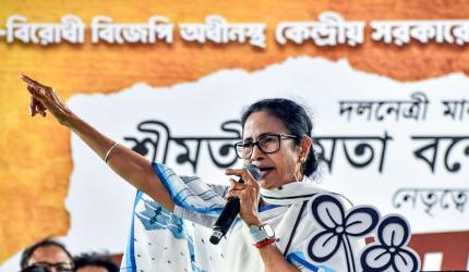 'Bihar Doesn't Predict Outcomes In Bengal, UP'