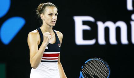 Cucumber cool Pliskova ready for Halep challenge