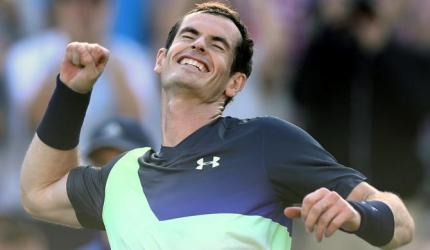 Murray in no rush to decide on Wimbledon