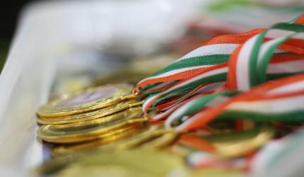 Missing! Chess Gold, Silver Medals