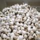 Who Eats The Most Garlic? These 7 Countries! India?