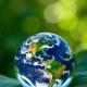 7 Ways India Is Protecting The Environment
