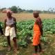 'Bharat Is Becoming Like Somalia'