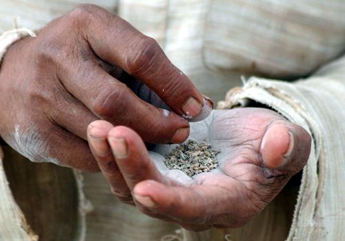 A man prepares chewing tobacco in Allahabad.