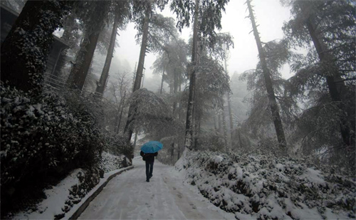 Snow in Shimla.
