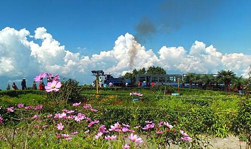 Darjeeling Himalayan Railway.