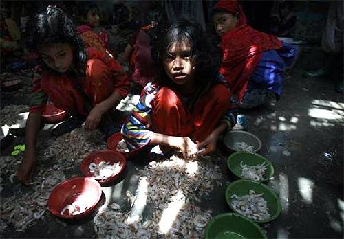 A girl sorts prawns at the main port located in the outskirts of the southern city of Karachi.