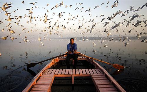 Migratory birds fly above a man rowing a boat on the Yamuna river in the old quarters of Delhi.