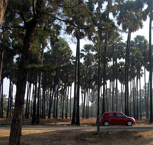 Dahanu, Maharashtra.