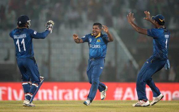 Sri Lankan players celebrate the fall of a wicket