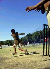 Cricket at Harare
