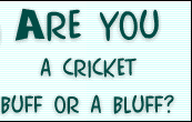 Are you a Cricket buff or a bluff?