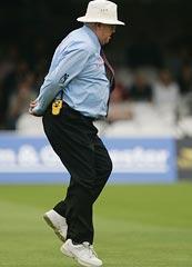 Umpire David Shepherd