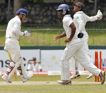 Sri Lankan players celebrate after Sehwag's stumping