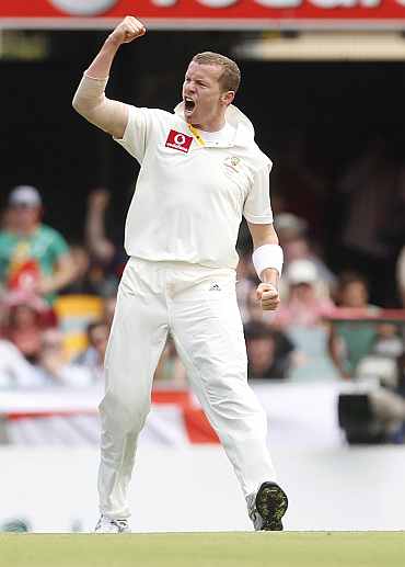 Peter Siddle celebrates after picking up Kevin Pietersen during the first Ashes Test in Brisbane