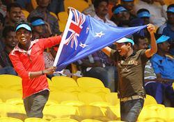 Fans at the World Cup