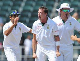 Dale Steyn celebrates after dismissing Ponting