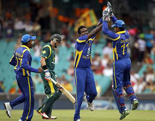 Sri Lankan players celebrate afte picking up an Australian wicket