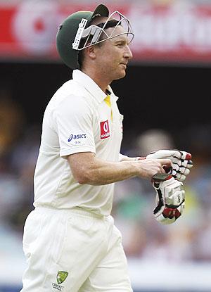 Brad Haddin