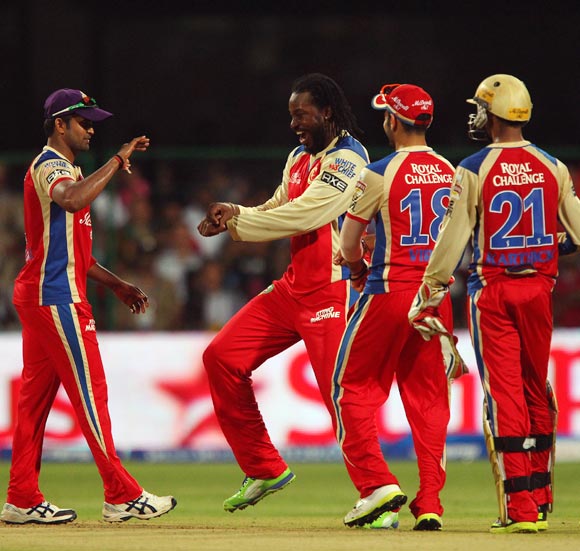 Chris Gayle celebrates getting the wicket of Ishwar Pandey