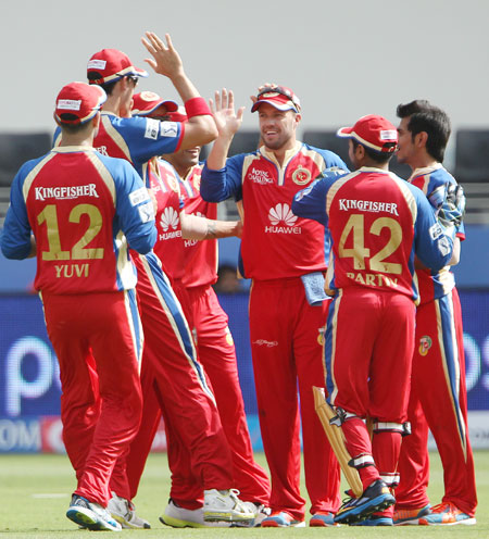 Bangalore players celebrate the fall of a wicket
