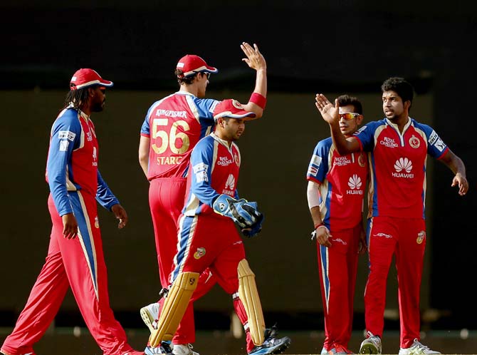 Royal Challengers Bangalore players celebrate a wicket