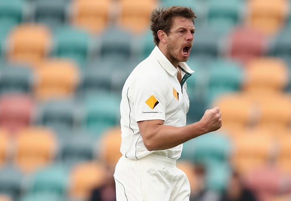 James Pattinson of Australia celebrates taking a West Indies wicket during the Hobart Test 