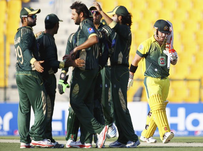 Shahid Afridi celebrates a wicket with teammates after the dismissal of David Warner