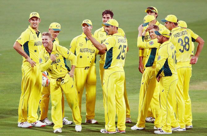 The Australian cricket team celebrate the fall of a wicket