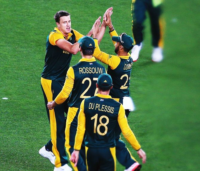 Morne Morkel celebrates after bowling Kane Williamson. Photograph: Hannah Peters/Getty Images