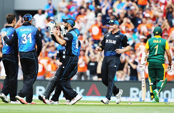 Trent Boult (left) celebrates with team mates after taking the wicket of Hashim Amla