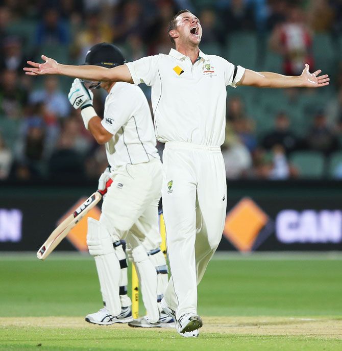 Australia's Josh Hazlewood celebrates after dismissing New Zealand's Ross Taylor on Day 2 of the third Test match at Adelaide Oval in Adelaide on Saturday