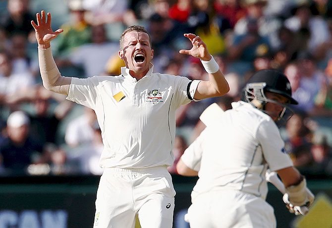 Australia's Peter Siddle (left) reacts as New Zealand's Tom Latham hits a shot on Day 2 of the third cricket Test match at the Adelaide Oval, in South Australia, on Saturday