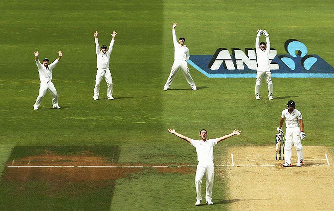 Australia's Josh Hazlewood  appeals for the wicket of New Zealand's Doug Bracewell