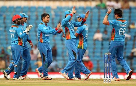 Afghanistan cricket players celebrate a Zimbabwean wicket on Saturday