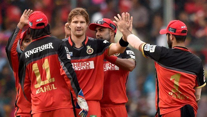 Royal Challengers Bangalore's Shane Watson and teammates celebrate the fall of a wicket