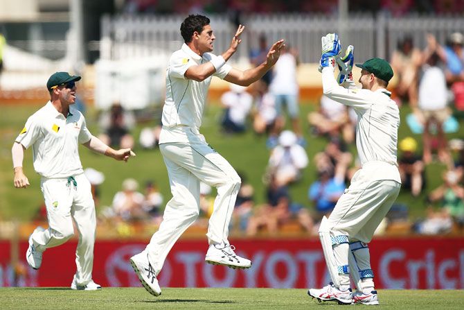 Australia's Mitchell Starc and Peter Nevill celebrate the wicket of South Africa's Stephen Cook