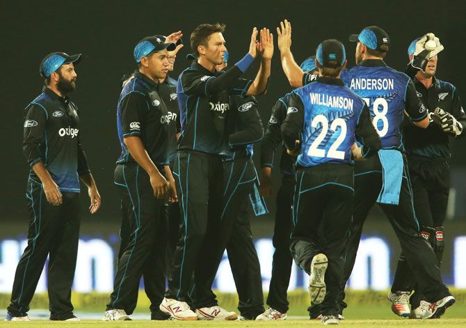 New Zealand players celebrate a wicket