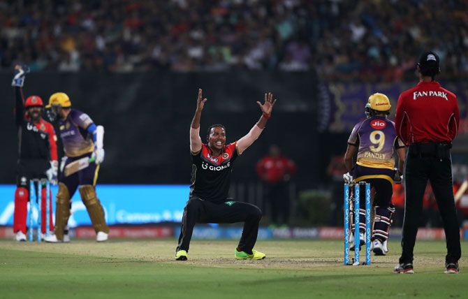 KKR's Samuel Badree successfully appeals for the wicket of RCB's Robin Uthappa